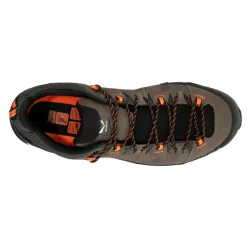 Alps Trainer 2 Gtx Bungee - Chaussures | Salewa