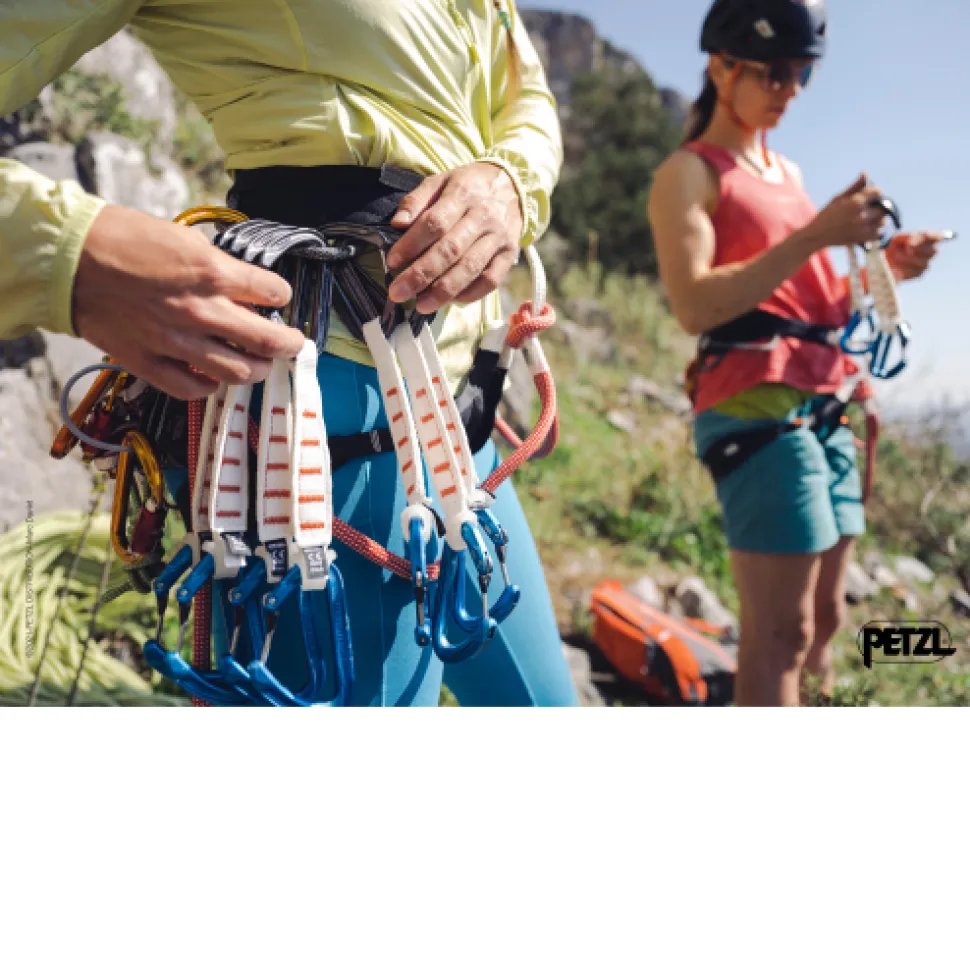 Ange L Bleu - Mousqueton | Petzl
