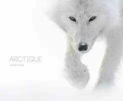 Arctique - Beaux Livres | Kobalann
