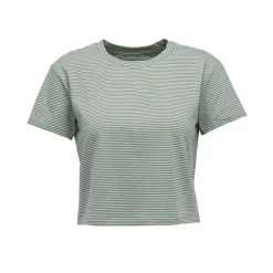 Bd Stripe Crop T-shirt  Foam Green - Tee Shirt Mc | Black Diamond