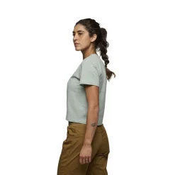 Bd Stripe Crop T-shirt  Foam Green - Tee Shirt Mc | Black Diamond