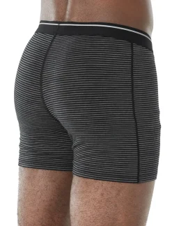 Boxer Anatomica Gritstone Heather - Boxer | Icebreaker