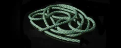 Capella 9,8mm X 70m Persian - Cordes A Simple | Cousin Trestec