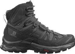 Chaussure Quest 4 Gtx Magnet / Black / Quarry - Chaussures | Salomon