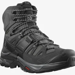 Chaussure Quest 4 Gtx Magnet / Black / Quarry - Chaussures | Salomon