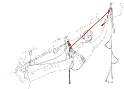 Dual Evolv Adjust Blue - Longes | Petzl