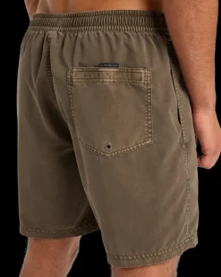 Everiday Surfwash Volley 17 Chocolate Brown - Short | Quiksilver