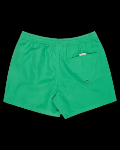 Everiday Volley 15 Leprechaun - Short | Quiksilver