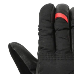 Gants Telluride Black - Gants | Millet