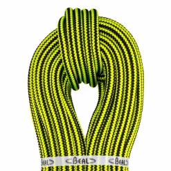 Ginkgo 12mm X 40m - 1 Termination Cousue - Elagage | Beal Pro