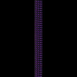 Joker 9.1mmx80m Purple - Corde | Beal