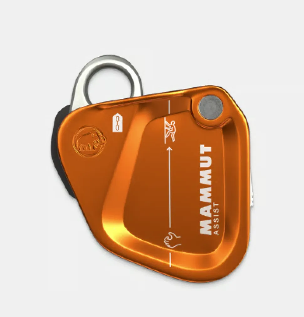 Mammut Assist Belay Resistor - Degaines | Mammut