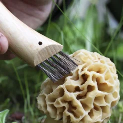 N08 Champignon - Couteau | Opinel