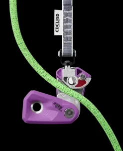 Ohm II Violet