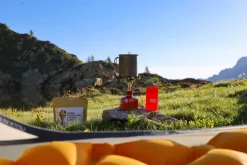 Rechaud Big Stove 3000 Watts Rechauds De Bivouac | Azimut Outdoor
