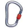 Rocklock Screwgate Gray - Mousqueton Secu Asym | Black Diamond