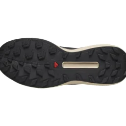 S/lab Genesis Vanilla Ice - Chaussures | Salomon