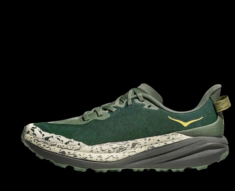 Speedgoat 6 Fern Asphalt Grey - Chaussures | Hoka