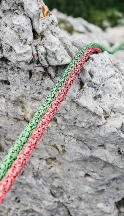 Swift Protect Pro Dry 8,9mm X 60m Verte - Corde | Edelrid