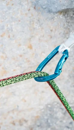 Swift Protect Pro Dry 8,9mm X 60m Verte - Corde | Edelrid