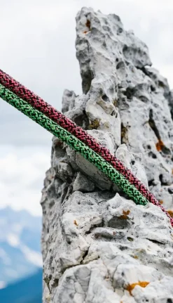 Swift Protect Pro Dry 8,9mm X 60m Verte - Corde | Edelrid