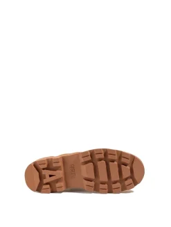 Tenere Cvs Marron - Chaussures | Aigle
