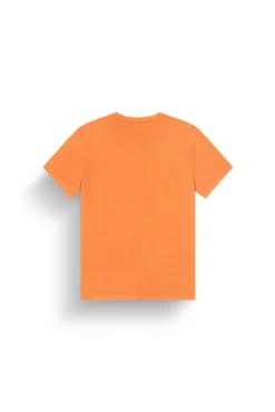 T-shirt Basement Leo Washed Dusty Orange | Picture Organic Clothing