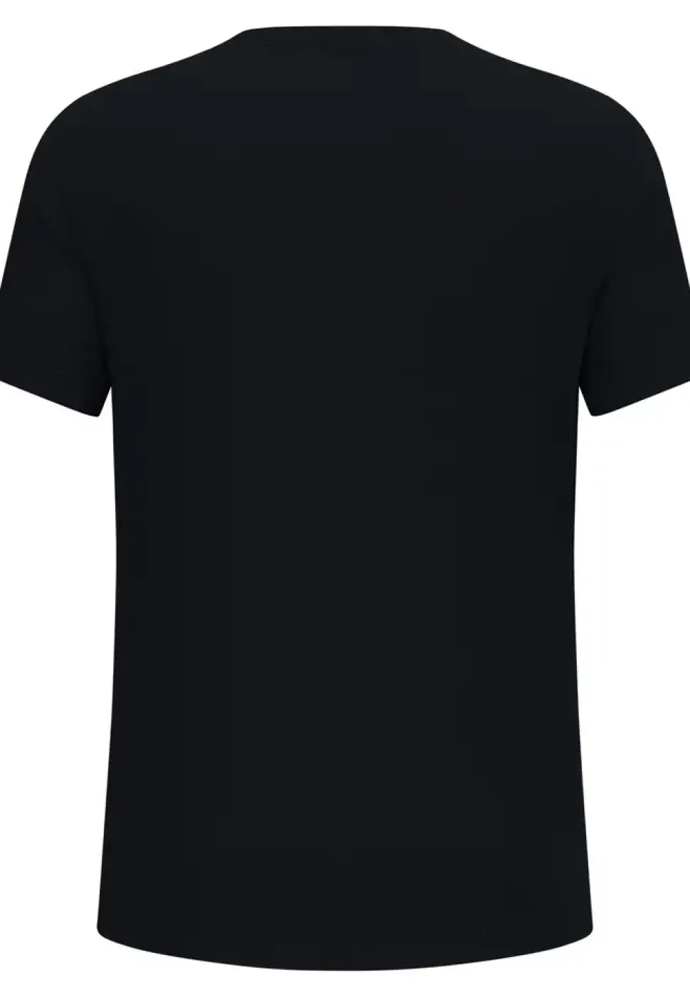 T-shirt F-dry Ridgeline Black Afterparty - Tee Shirt Mc | Odlo
