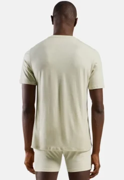 T-shirt Merino 160 Agate Gray - Tee Shirt Mc | Odlo