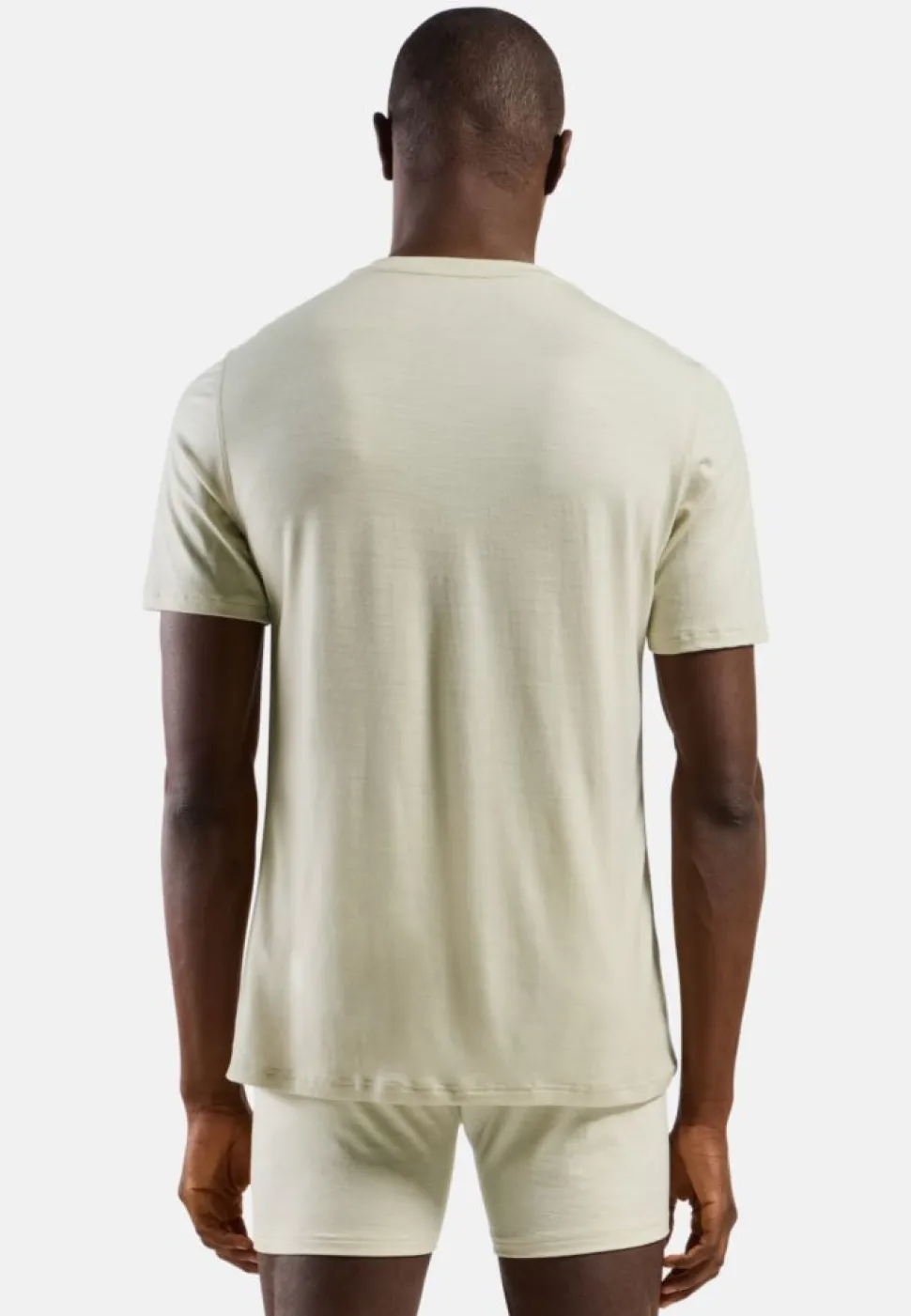 T-shirt Merino 160 Agate Gray - Tee Shirt Mc | Odlo