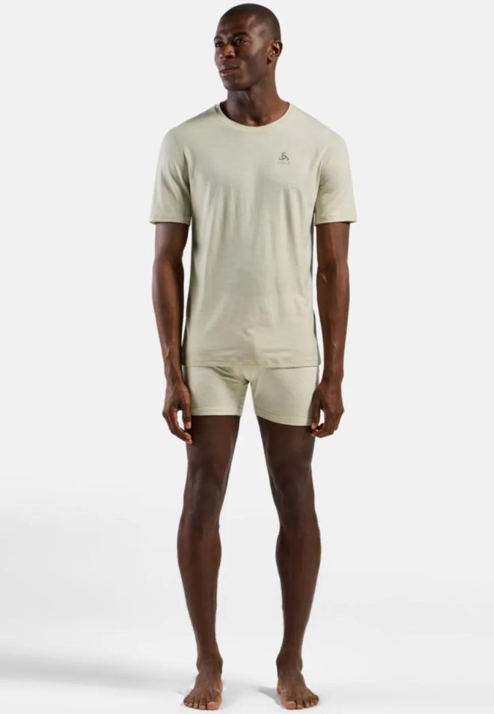 T-shirt Merino 160 Agate Gray - Tee Shirt Mc | Odlo